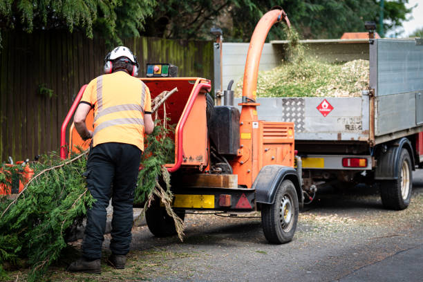 Best Firewood Processing and Delivery  in Covington, VA