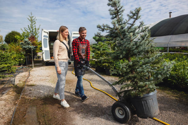 Best Tree Mulching  in Covington, VA